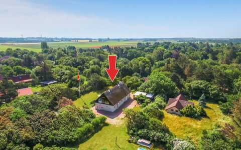 Rebana - 30M from the Sea: Træ, Landdistrikt, Landskab, Hus, Hjem, Land Lot, Almindeligt, Tag, Sommerhus