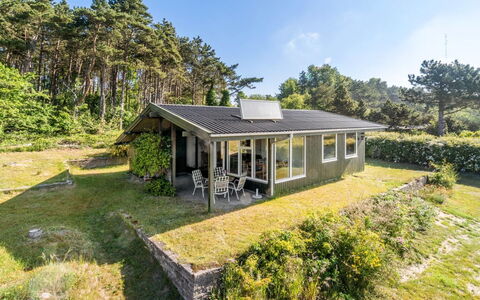 Miona - 725M from the Sea: Plantesamfund, Sollys, Urteagtig Plante, Have, Plantation, Landbrug, Farm
