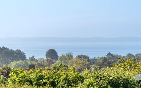 Miona - 725M from the Sea: Plantesamfund, Sollys, Urteagtig Plante, Have, Plantation, Landbrug, Farm