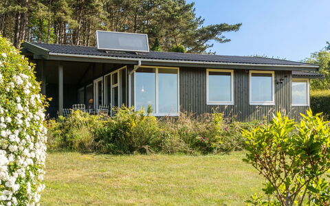 Miona - 725M from the Sea: Plantesamfund, Sollys, Urteagtig Plante, Have, Plantation, Landbrug, Farm