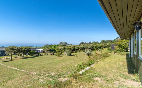 Miona - 725M from the Sea: Plantesamfund, Sollys, Urteagtig Plante, Have, Plantation, Landbrug, Farm