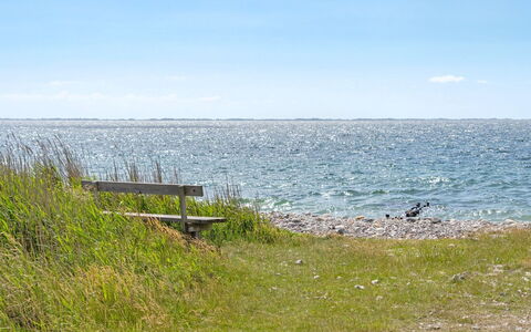 Henrik - 100M from the Sea: Græs, Busk, Hus, Have, Hjem, Sommerhus, Land Lot, Lawn, Bunddække