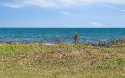 Arild - 10M from the Sea: Plantesamfund, Sollys, Urteagtig Plante, Have, Plantation, Landbrug, Farm
