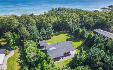 Gulborg - 25M from the Sea: Tag, Hus, Hjem, Sommerhus, Sidespor, Estate, Indkørsel, Garden Bygninger, Gård, Skur