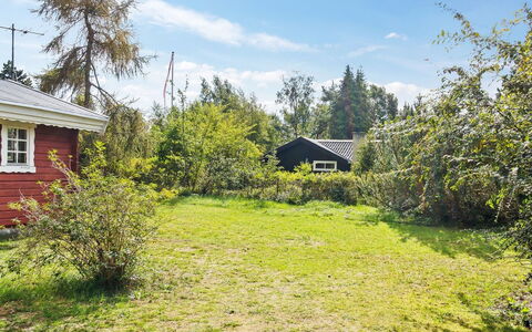 Tuukka - 150M from the Sea: Plantesamfund, Sollys, Urteagtig Plante, Have, Plantation, Landbrug, Farm