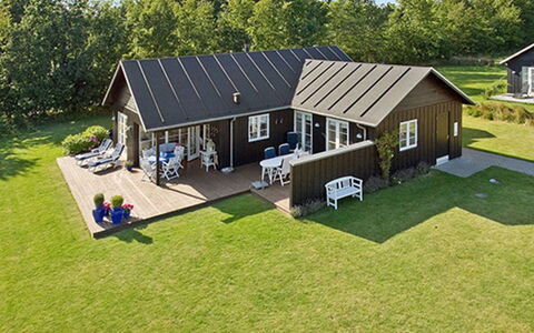 Miika - 100M from the Sea: Plantesamfund, Sollys, Urteagtig Plante, Have, Plantation, Landbrug, Farm