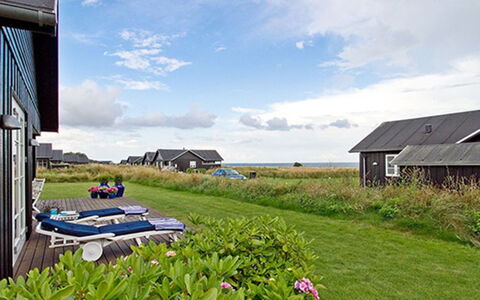 Miika - 100M from the Sea: Plantesamfund, Sollys, Urteagtig Plante, Have, Plantation, Landbrug, Farm