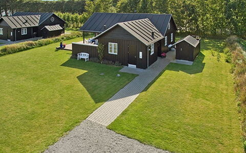 Miika - 100M from the Sea: Plantesamfund, Sollys, Urteagtig Plante, Have, Plantation, Landbrug, Farm