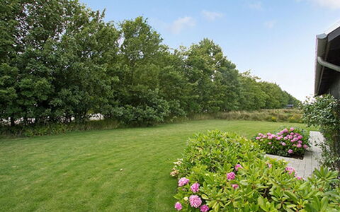 Miika - 100M from the Sea: Plantesamfund, Sollys, Urteagtig Plante, Have, Plantation, Landbrug, Farm