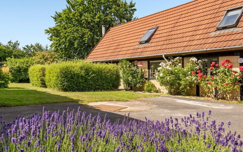 Redlef - 9Km from the Sea: Gulvbelægning, Væg, Etage, Indretning, Træ, Loft, Trægulve, Belysning, Møbel, Laminat Gulv
