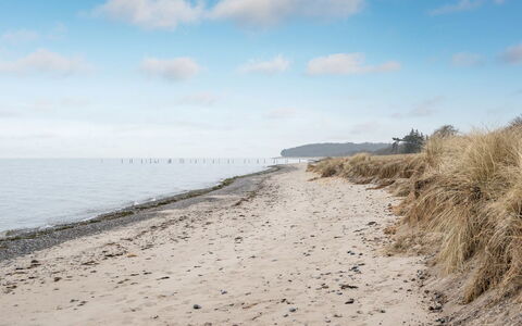 Hattie - 100M from the Sea: Vand, Strand, Kyst, Horisont, Coastal Og Oceaniske Landskabsformer, Kyst, Hav, Økoregion, Sand