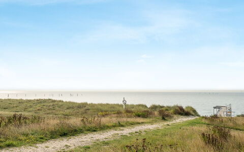 Hattie - 100M from the Sea: Himmel, Græs, Naturligt Miljø, Horisont, Økoregion, Vegetationen, Græs-, Sommer, Almindeligt, Land Lot