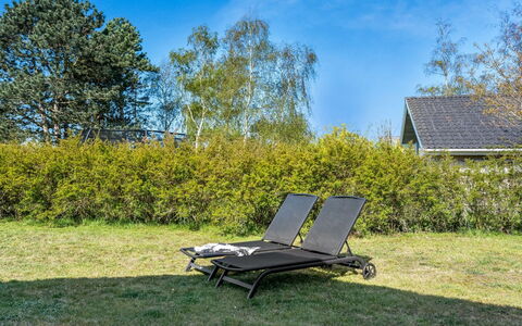 Lars - 250M from the Sea: Græs, Græs-, Landskab, Økoregion, Almindeligt, Plantesamfund, Land Lot, Udendørs Møbler, Prærie, Shrubland