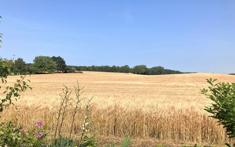 Asya - 600M from the Sea: Træ, Sommerhus, Hårdttræ, Planke, Bejdse, Garden Bygninger, Design, Gård, Bjælkehytte, Backyard