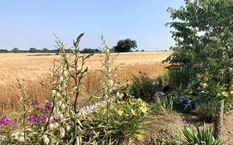 Asya - 600M from the Sea: Træ, Sommerhus, Hårdttræ, Planke, Bejdse, Garden Bygninger, Design, Gård, Bjælkehytte, Backyard