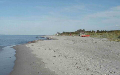 Elbert - 100M from the Sea: Blå, Busk, Sommerhus, Bunddække, Have, Estate, Skygge, Landscaping, Stuehus, Eco Hotel