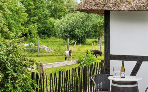 Maileen - 2.1Km to the Fjord: Blå, Busk, Sommerhus, Bunddække, Have, Estate, Skygge, Landscaping, Stuehus, Eco Hotel