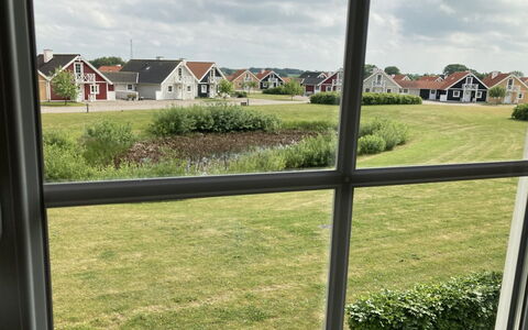 Eike - 250M from the Sea: Plantesamfund, Sollys, Urteagtig Plante, Have, Plantation, Landbrug, Farm