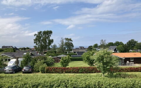 Eike - 250M from the Sea: Plantesamfund, Sollys, Urteagtig Plante, Have, Plantation, Landbrug, Farm