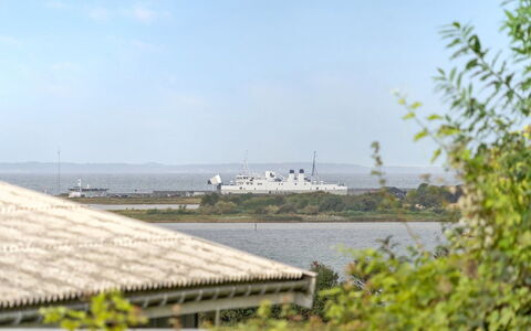 Loi - 200M from the Sea: Plantesamfund, Sollys, Urteagtig Plante, Have, Plantation, Landbrug, Farm