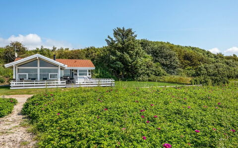 Arnwith - 20M from the Sea: Blomst, Busk, Sky, Bunddække, Forår, Sommerhus, Have, Blomstrende Plante, Eng
