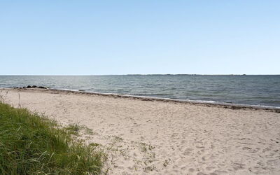 Pellervo - 20M from the Sea