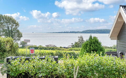 Rathi - 250M from the Sea: Plantesamfund, Sollys, Urteagtig Plante, Have, Plantation, Landbrug, Farm