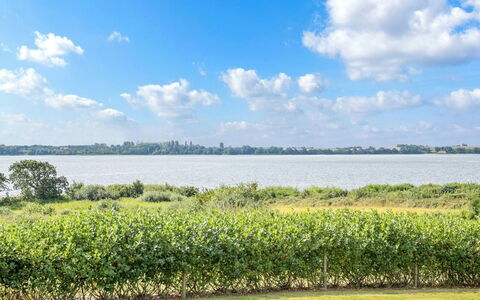 Rathi - 250M from the Sea: Plantesamfund, Sollys, Urteagtig Plante, Have, Plantation, Landbrug, Farm
