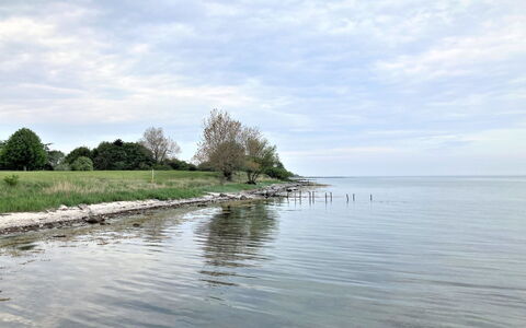 Ilppo - 200M from the Sea: Hjem, Tag, Hus, Sommerhus, Estate, Dør, Veranda, Sidespor, Stuehus, Skygge