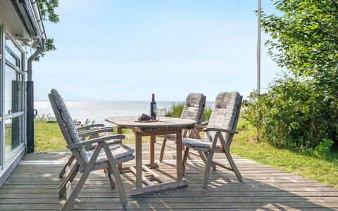 Selja - 15M from the Sea: Plantesamfund, Sollys, Urteagtig Plante, Have, Plantation, Landbrug, Farm