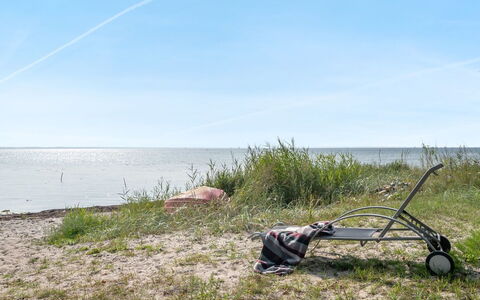 Selja - 15M from the Sea: Plantesamfund, Sollys, Urteagtig Plante, Have, Plantation, Landbrug, Farm