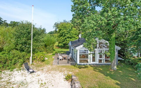 Selja - 15M from the Sea: Plantesamfund, Sollys, Urteagtig Plante, Have, Plantation, Landbrug, Farm
