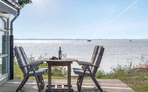 Selja - 15M from the Sea: Plantesamfund, Sollys, Urteagtig Plante, Have, Plantation, Landbrug, Farm