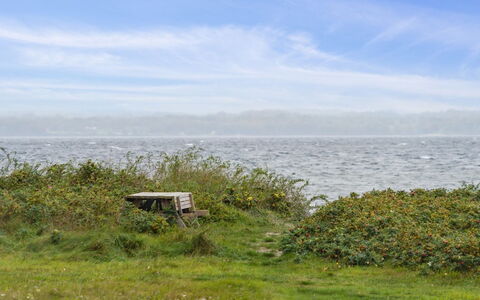 Elisej - 100M from the Sea: 