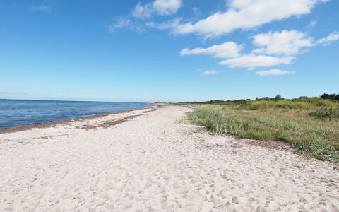 Elisej - 100M from the Sea: 