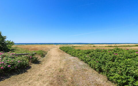 Elisej - 100M from the Sea: Himmel, Blå, Grøn, Vegetationen, Naturlige Landskab, Horisont, Græs-, Almindeligt, Økoregion
