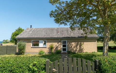 Ambrosius - 75M from the Sea: Plantesamfund, Sollys, Urteagtig Plante, Have, Plantation, Landbrug, Farm
