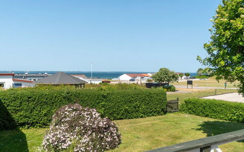 Ambrosius - 75M from the Sea: Plantesamfund, Sollys, Urteagtig Plante, Have, Plantation, Landbrug, Farm