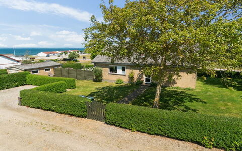 Ambrosius - 75M from the Sea: Plantesamfund, Sollys, Urteagtig Plante, Have, Plantation, Landbrug, Farm