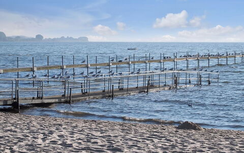 Ebbeline - 150M from the Sea: Krop Af Vand, Hav, Mole, Horisont, Ocean, Coastal Og Oceaniske Landskabsformer, Dok