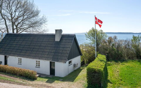 Ose - 50M from the Sea: Plantesamfund, Sollys, Urteagtig Plante, Have, Plantation, Landbrug, Farm