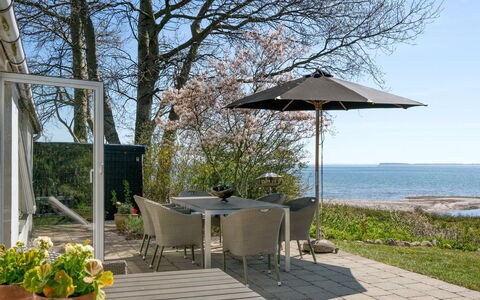 Ose - 50M from the Sea: Plantesamfund, Sollys, Urteagtig Plante, Have, Plantation, Landbrug, Farm