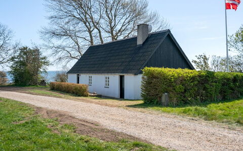 Ose - 50M from the Sea: Plantesamfund, Sollys, Urteagtig Plante, Have, Plantation, Landbrug, Farm