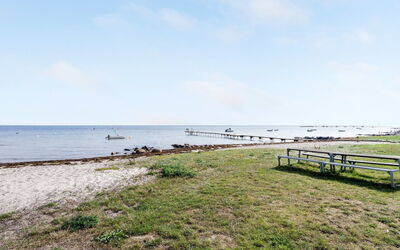 Pedersen - 50M from the Sea