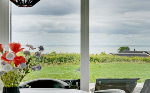Constantin - 500M from the Sea: Plantesamfund, Sollys, Urteagtig Plante, Have, Plantation, Landbrug, Farm