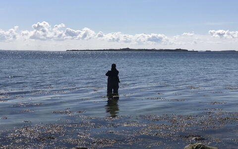 Lander - 20M from the Sea: Hus, Tag, Hjem, Sommerhus, Estate, Stuehus, Villa, Veranda, Sidespor