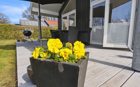 Gunholm - 150M from the Sea: Blå, Busk, Sommerhus, Bunddække, Have, Estate, Skygge, Landscaping, Stuehus, Eco Hotel