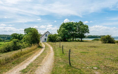Jeppe - 50M to the Fjord: Grøn, Græs, Natur, Naturlige Landskab, Vegetationen, Græs-, Landskab, Landdistrikt, Land Lot