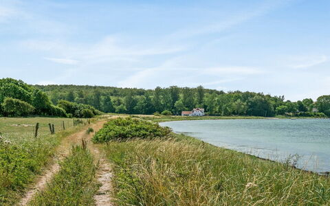 Jeppe - 50M to the Fjord: Vand, Vandressourcer, Grøn, Krop Af Vand, Naturligt Miljø, Naturlige Landskab, Vegetationen, Vandløb, Vandvej