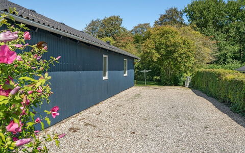 Farnke - 600M from the Sea: Plantesamfund, Sollys, Urteagtig Plante, Have, Plantation, Landbrug, Farm